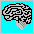 brain